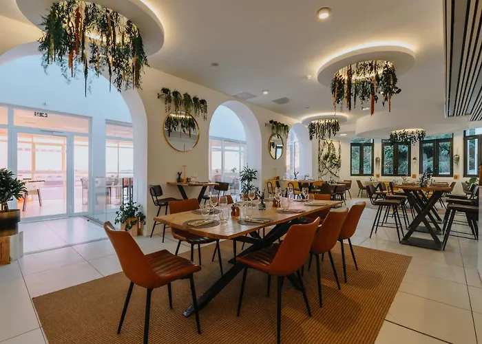 Le Meez Каркассон